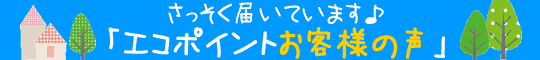 �Z��G�R�|�C���g ���t�H�[�� ���q�l�̐�